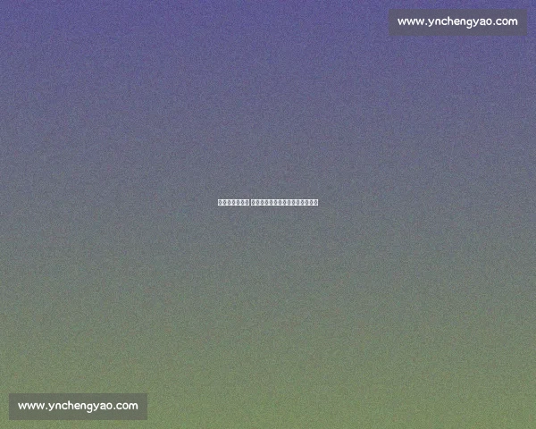 夏窗落幕不落幕 失业球星的「后转会窗」生存指南