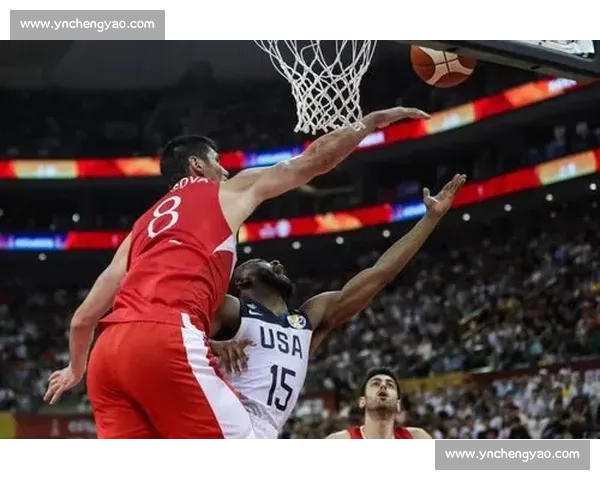 穆雷对决拉奥尼奇焦点之战发球底线全面较量前瞻网坛巅峰硬地赛场