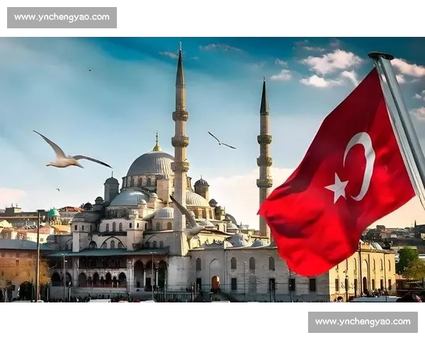 国际格局背景下土耳其对阵中国的战略博弈与区域合作新走向解析