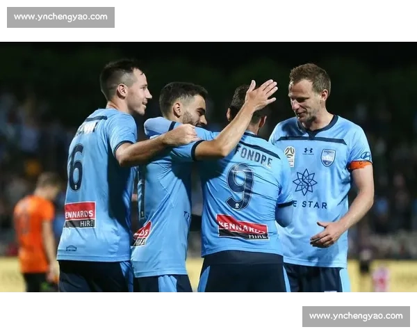 墨尔本城对决悉尼FC 决战澳大利亚足球超级联赛冠军荣耀